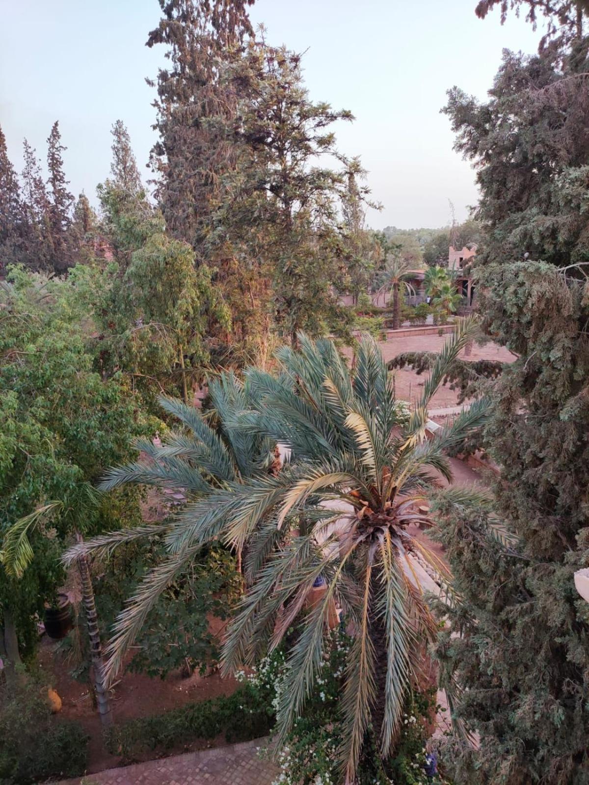 Guest house Sheherazade Marrakech