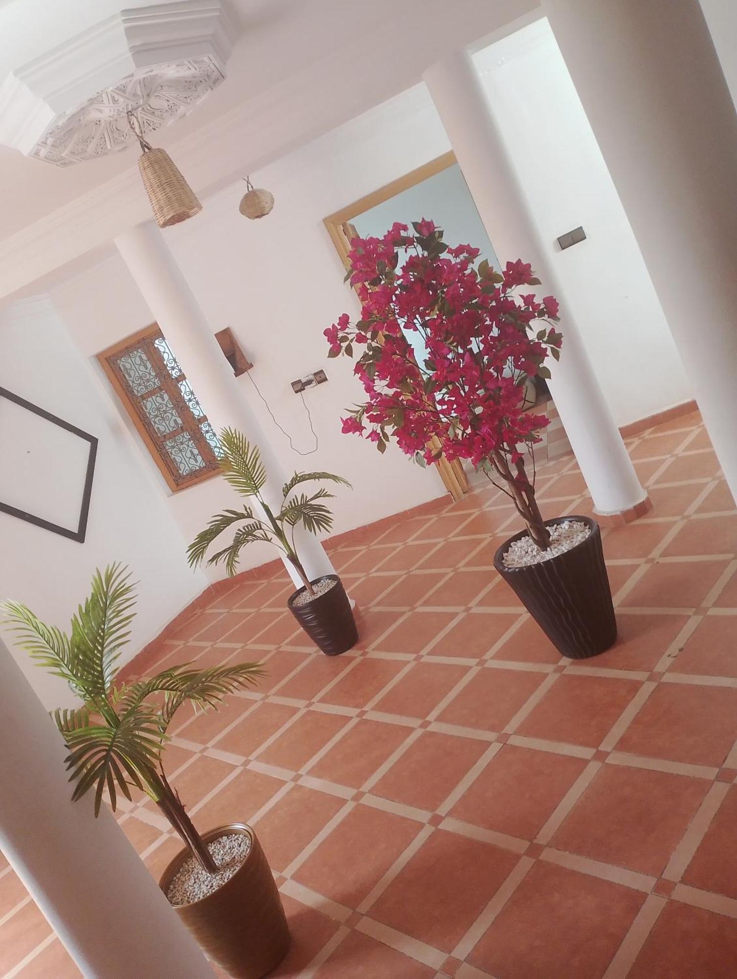 Riad Rooftop Terrace Green House * Marraquexe