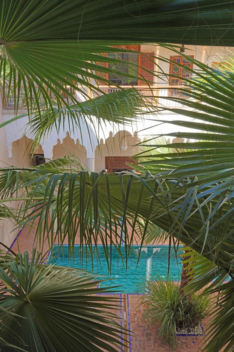 Riad Lion Rouge Marraquexe
