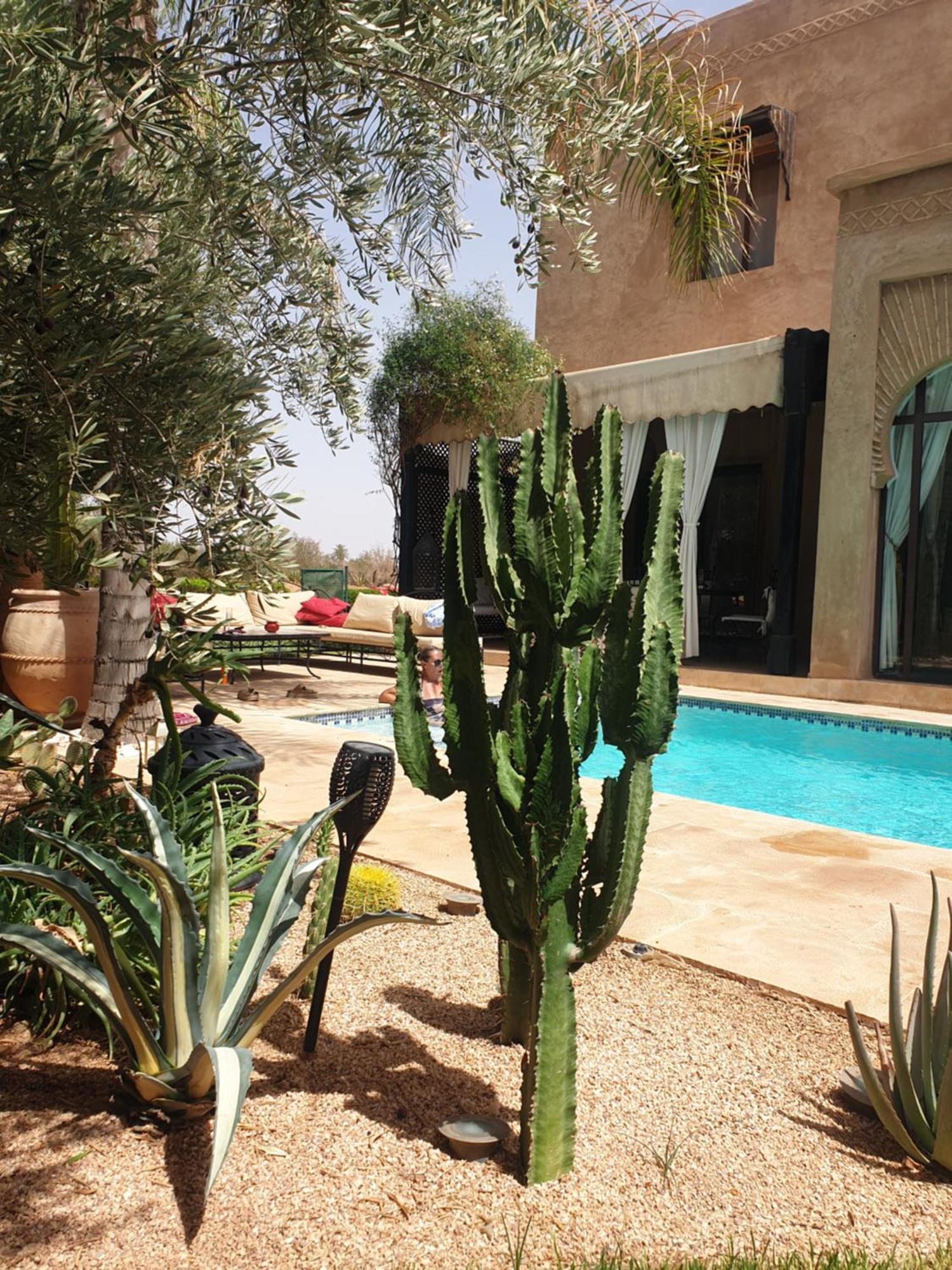 Boheme Havre De Paix, Piscine Chauffee,4 * Marrakesh