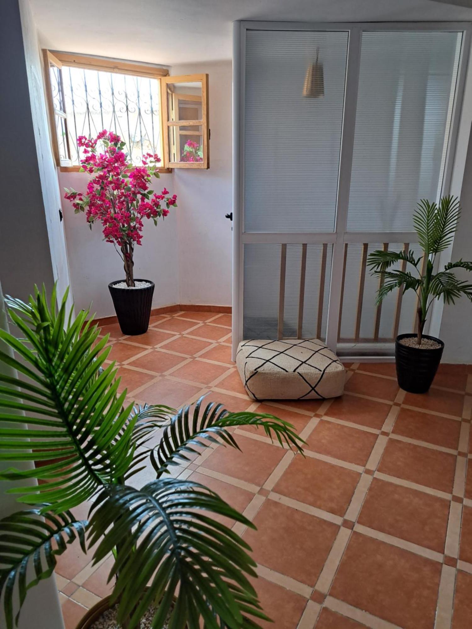 Riad Rooftop Terrace Green House *
