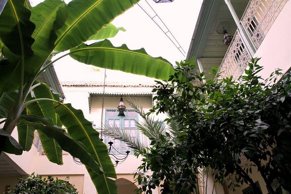 Orange Riad