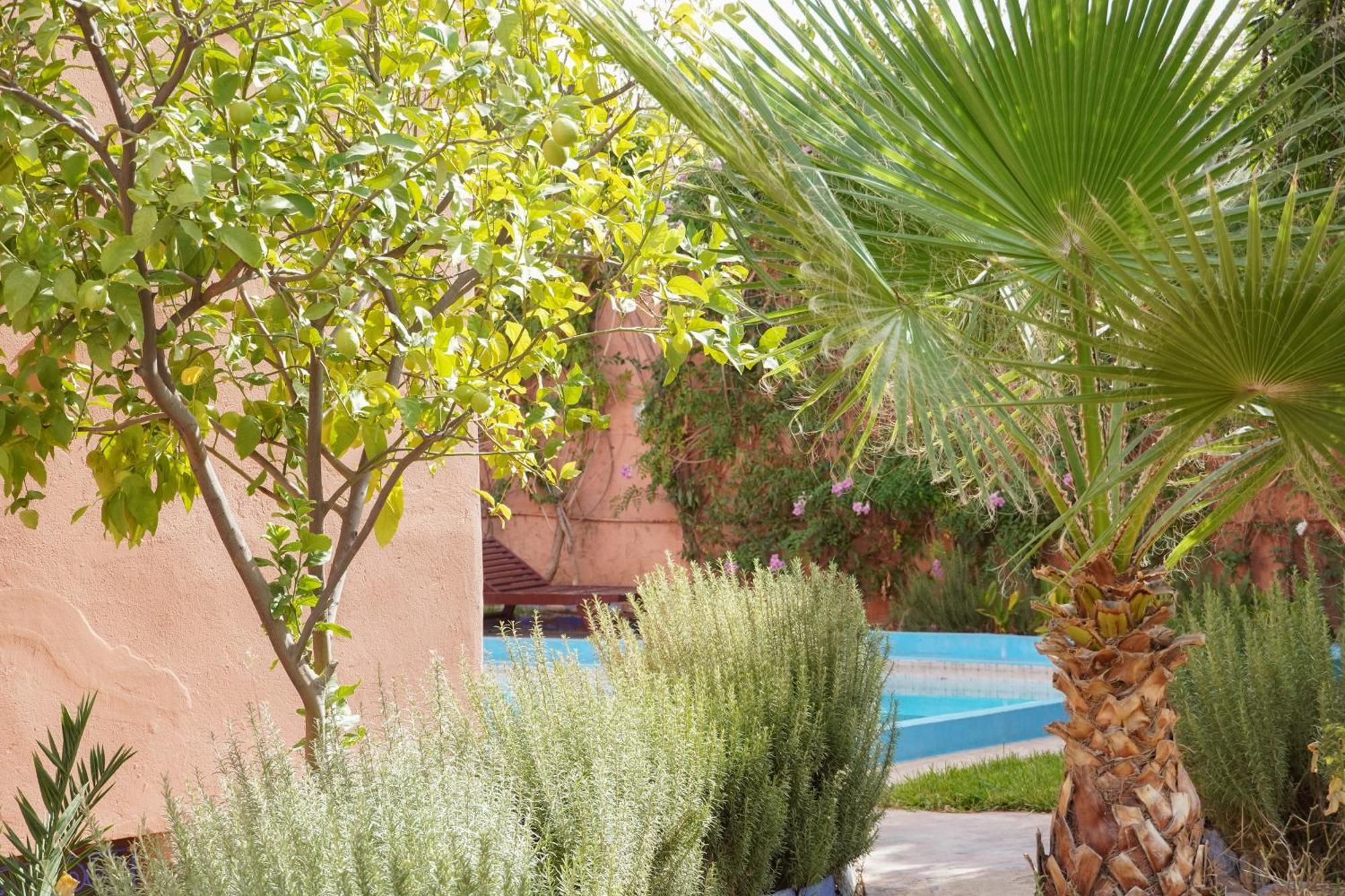 Inna Marrakech * Marraquexe