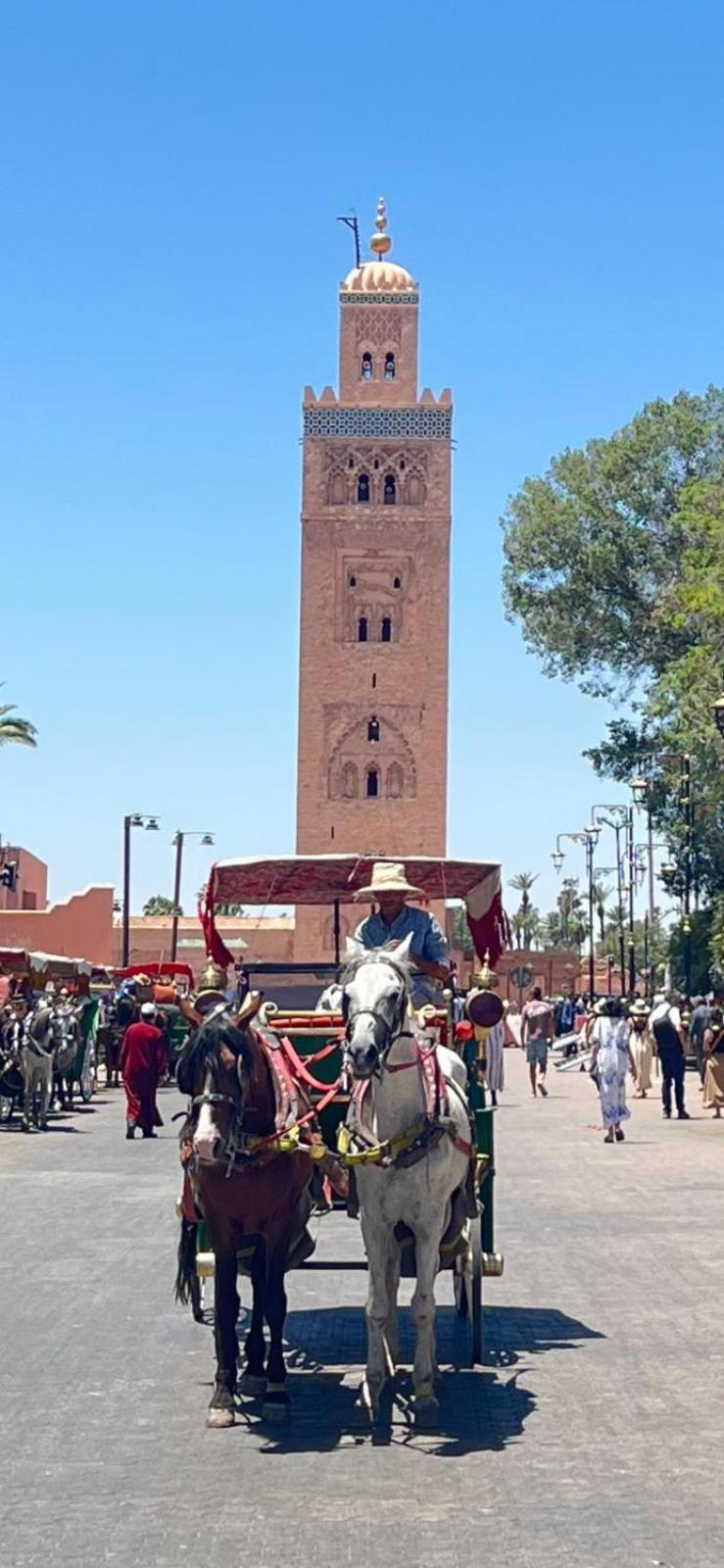 A Marrakech Babylon 2 Hivernage * Marrakesh