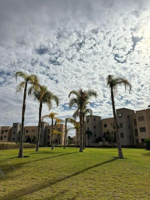 Apartment Jubaea Youmna *