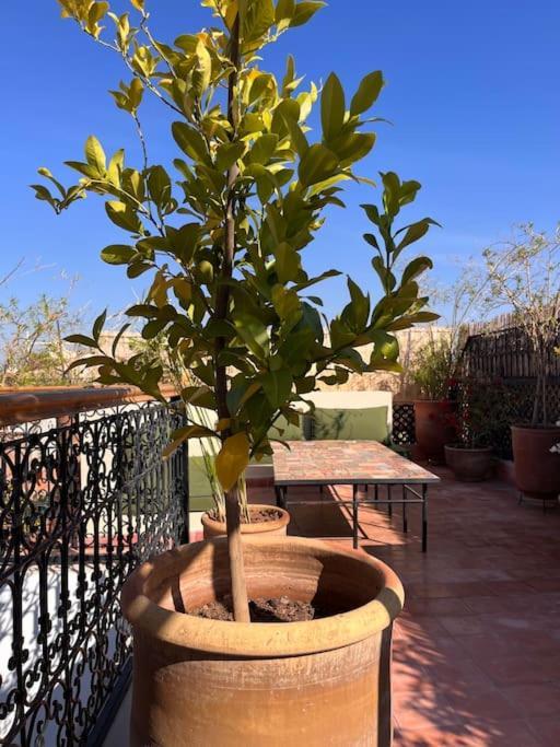 Villa Dar Fannan En Exclusivite Marrakesh