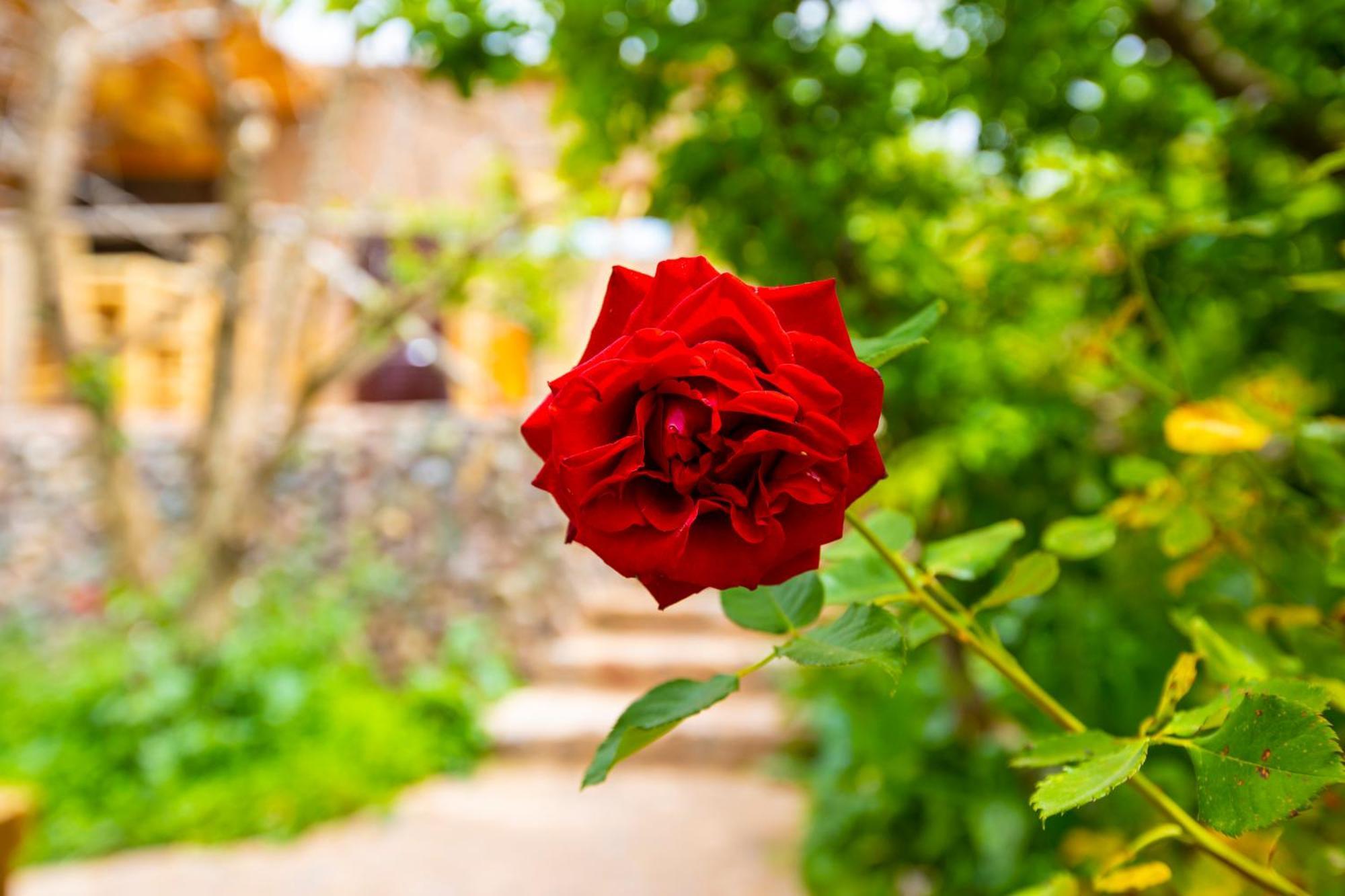 Farm stay The Garden Of Asni Marrakesh