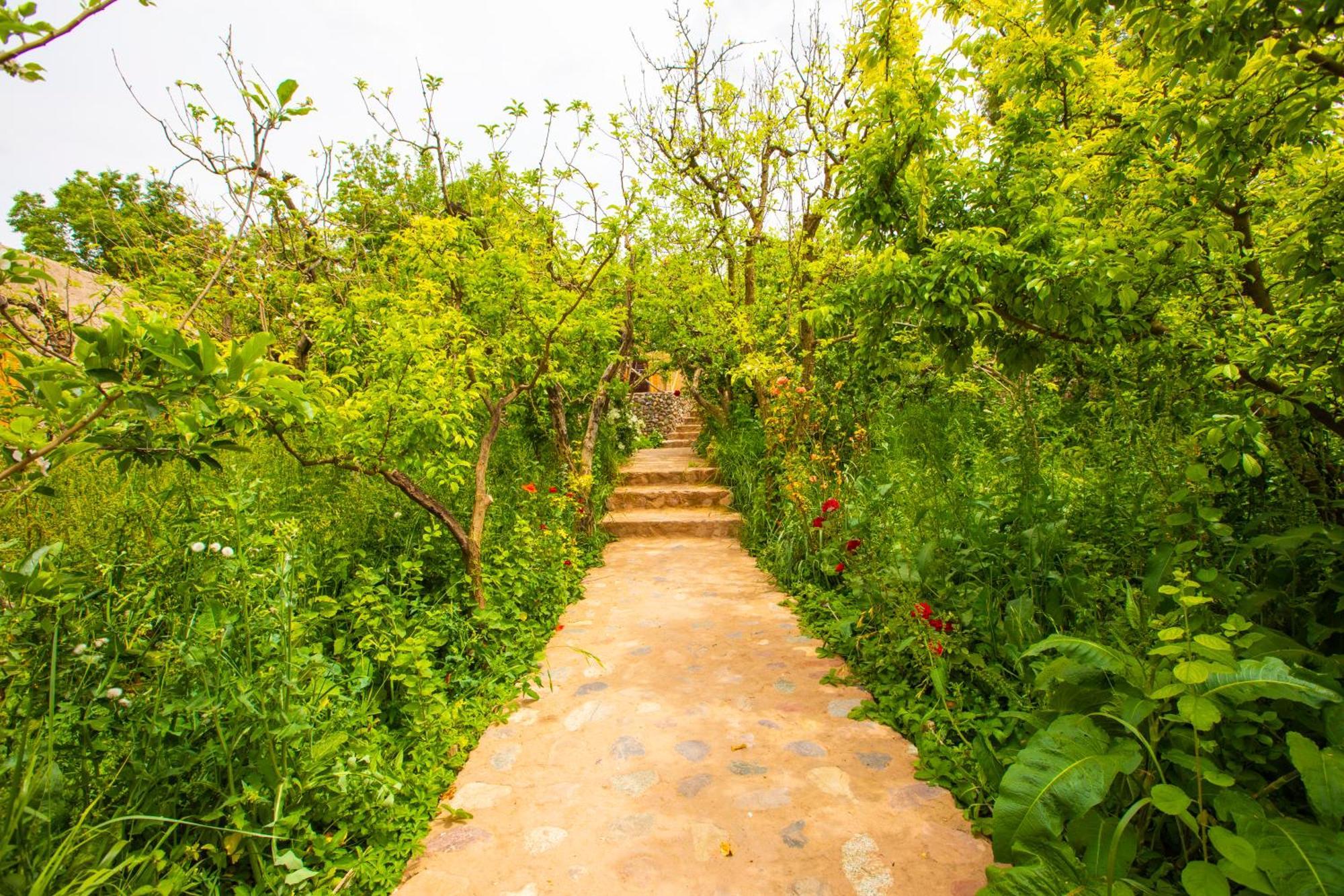 The Garden Of Asni Séjour à la ferme *