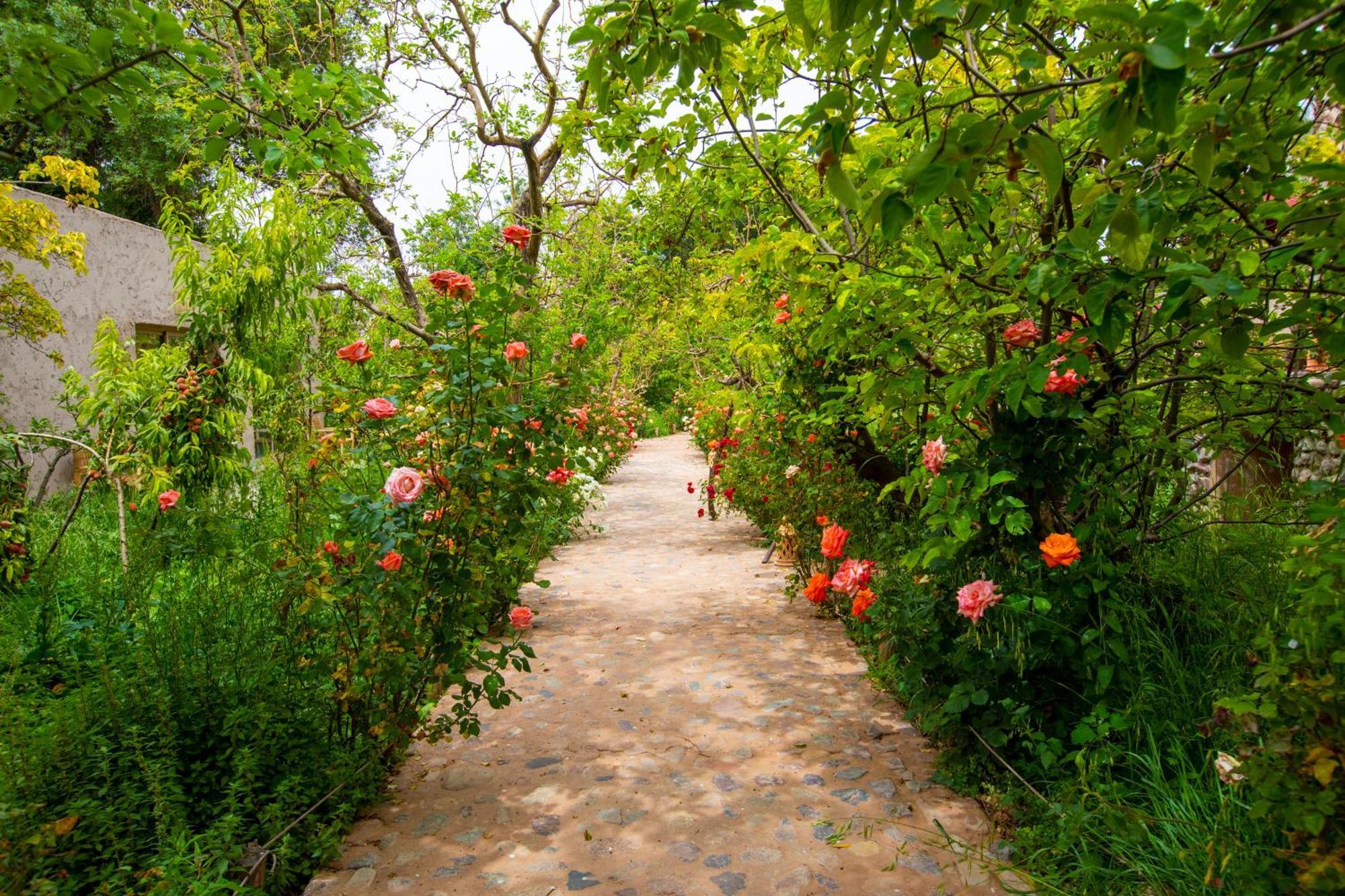 The Garden Of Asni Farm stay