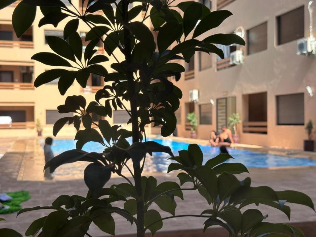 Magnifique Au Centre Gueliz - Hivernage Apartamento
