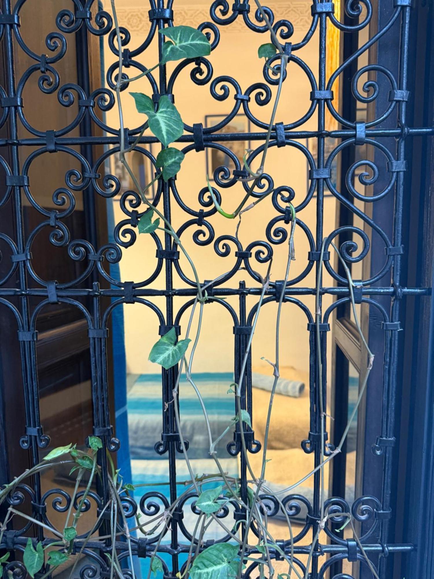 Riad Dar Fangui