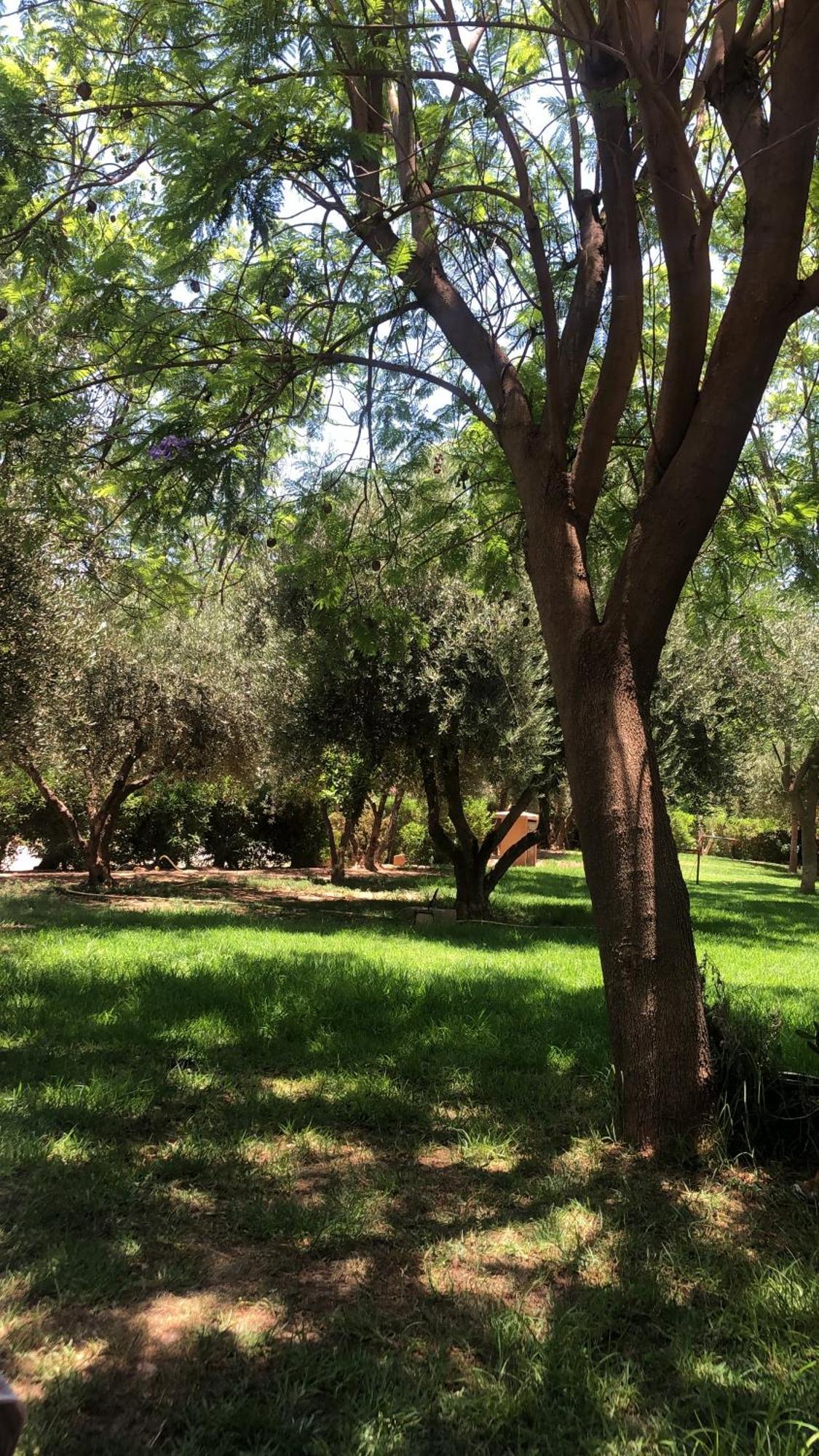 Palmeraie Village 2 - Cosi En Rez De Jardin Marrakesh