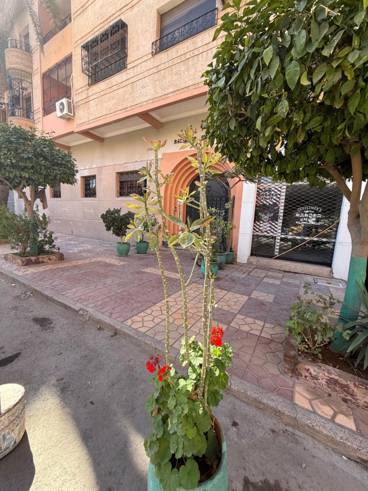 Apartment Appart Magnifique Pres De Jardin Majorelle Marrakesh