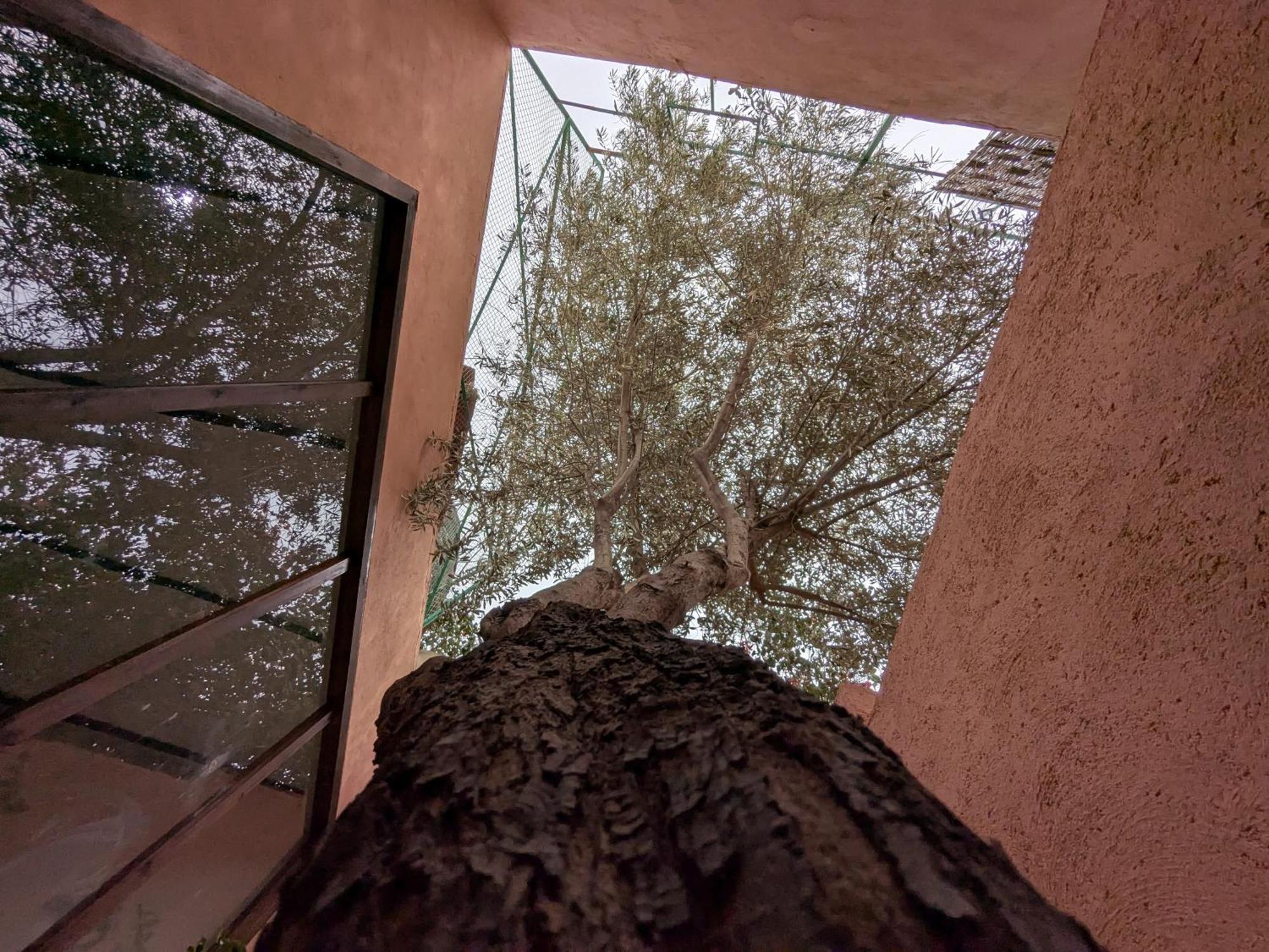 Bed & Breakfast The Old House Marrakesh
