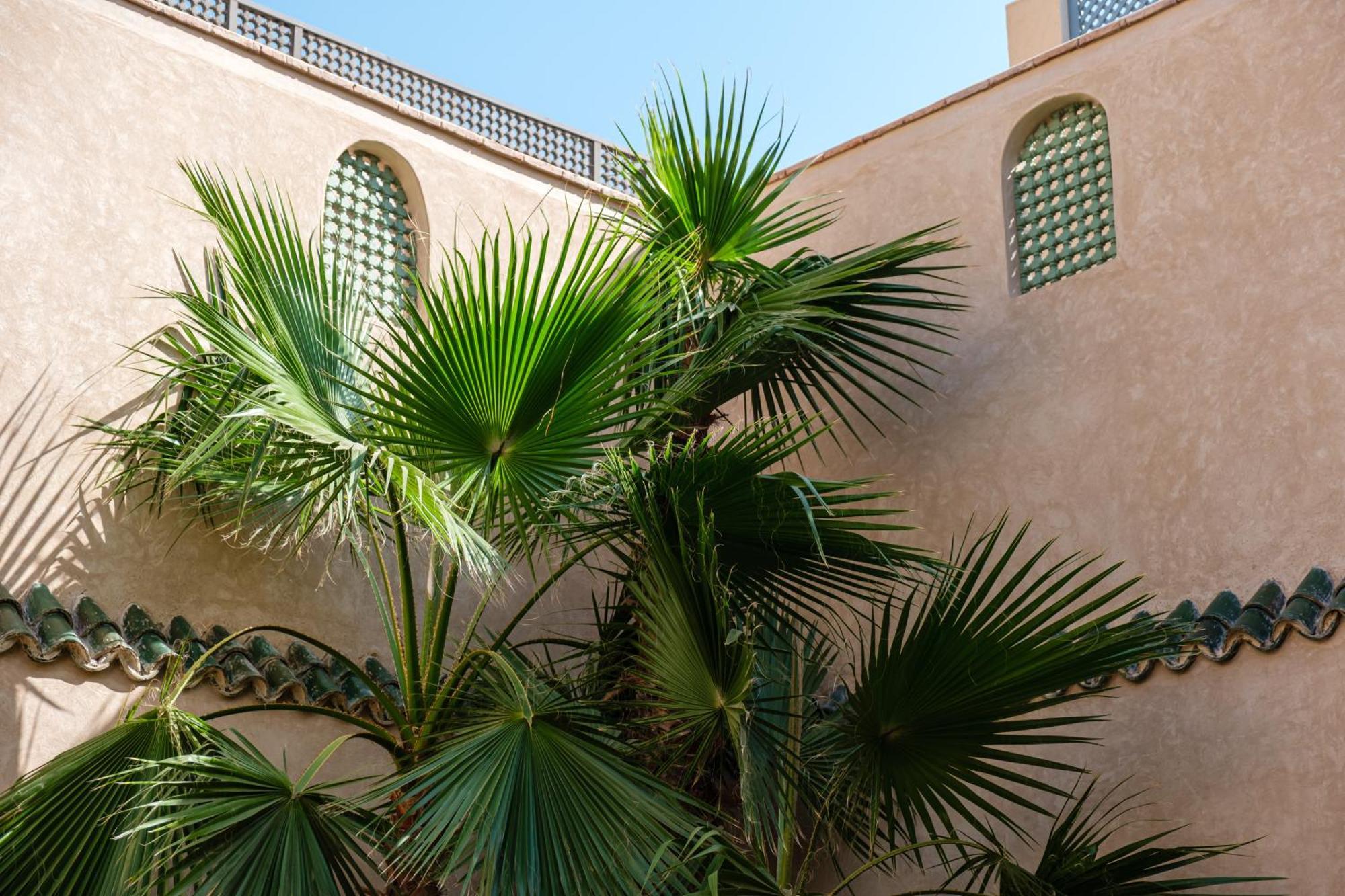 Riad Rare 29 Exclusif Swiming Pool And Breakfast