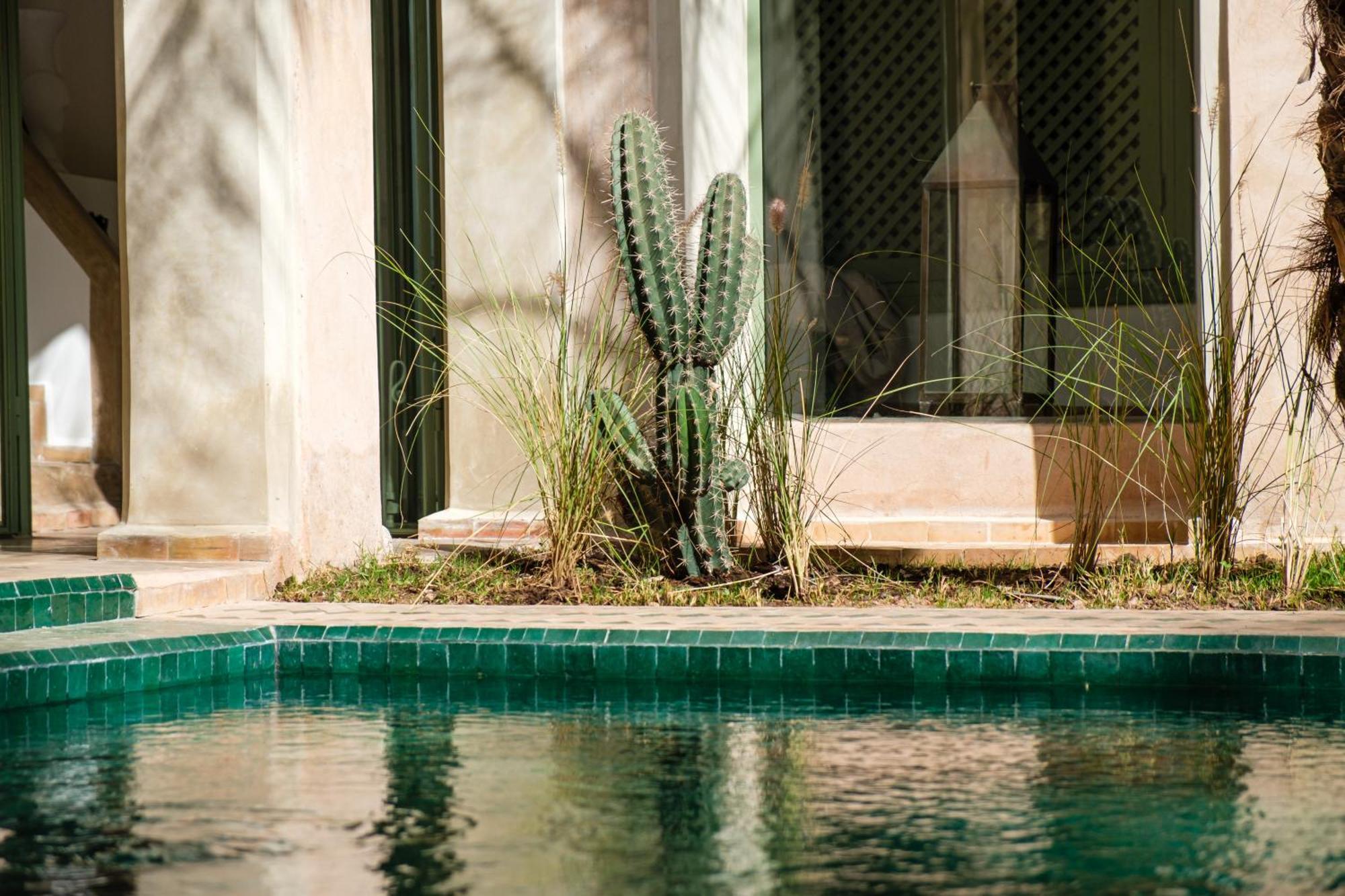 Riad Rare 29 Exclusif Swiming Pool And Breakfast Marrakesh
