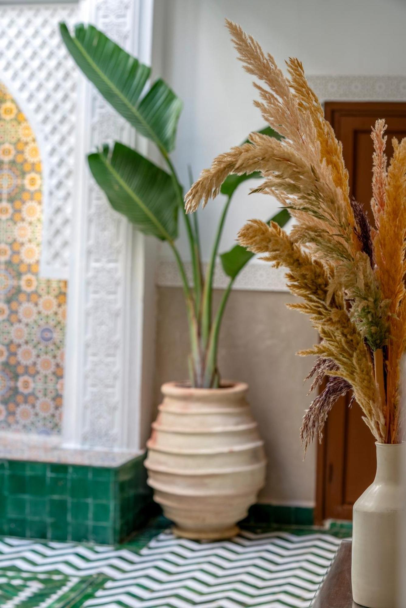 Ilyan & Marrakesh