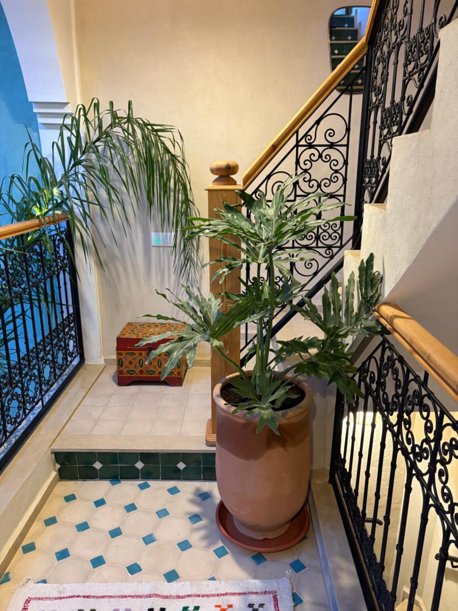 Riad212 Private Medina Fast Wi-fi Plunge Pool Holiday home