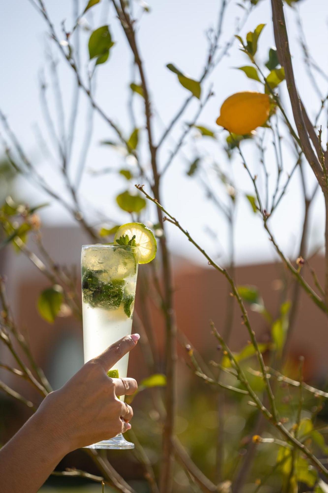 Yin & 5* Marrakesh