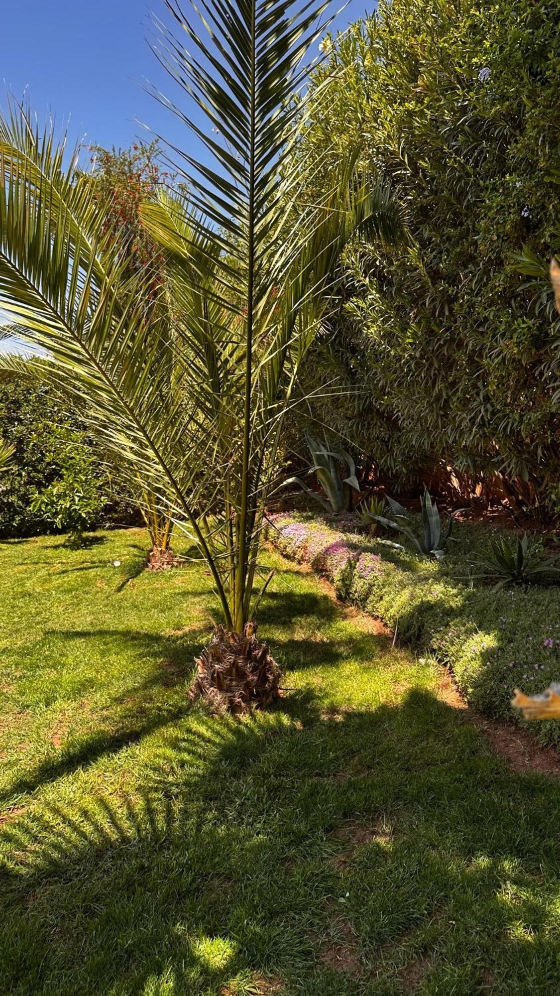 Dar Nadim Sur Le Golf De Samanah Villa *
