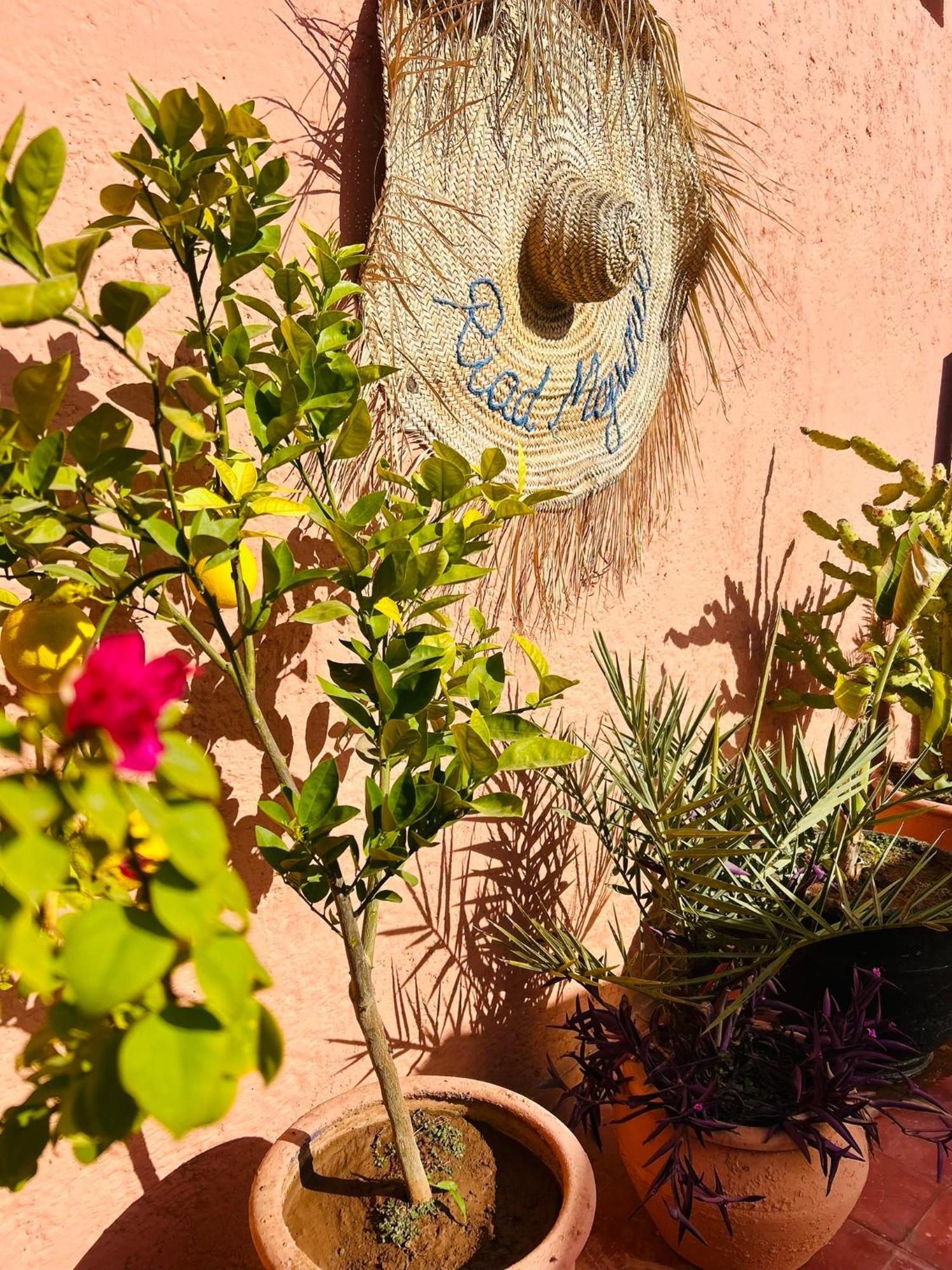 Majwril Marrakesh