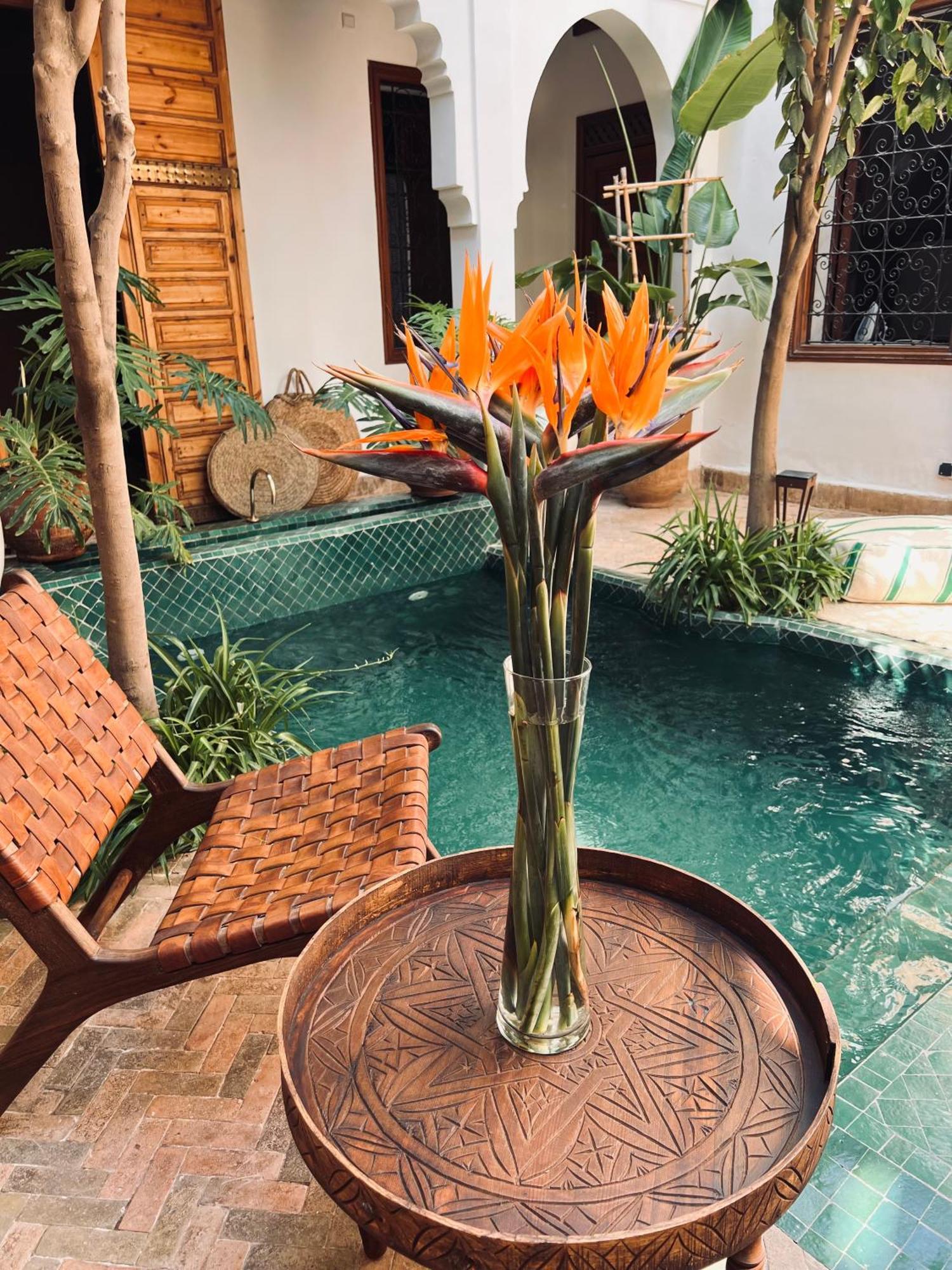 Prive Sadaka Bassin Rooftop Villa Marrakesh