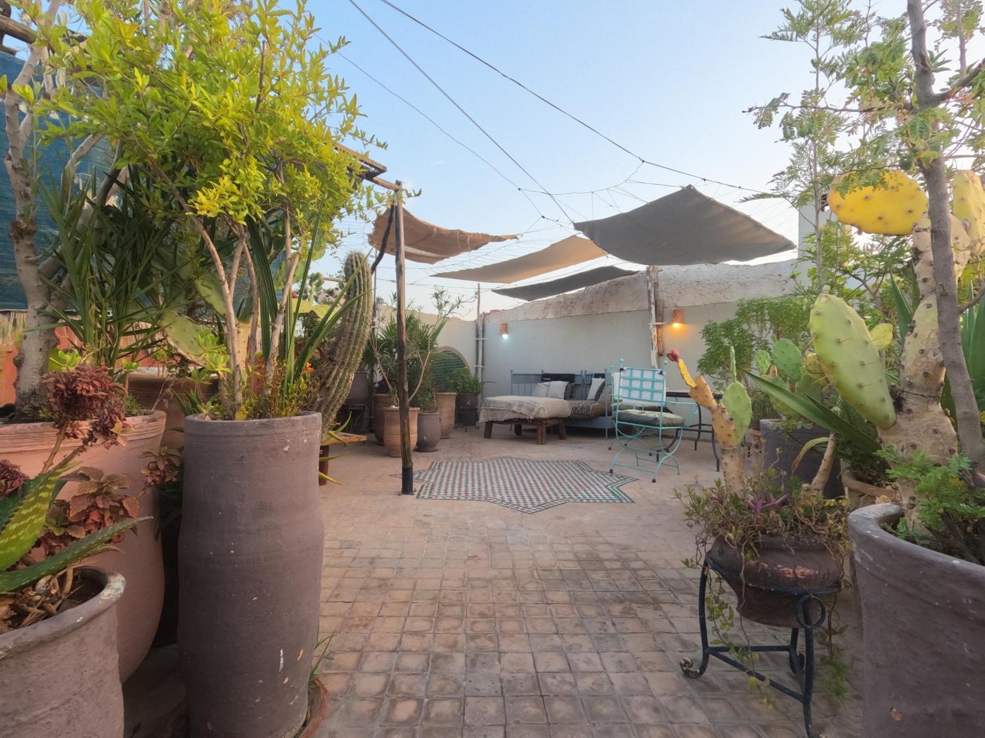 Maizie Marrakesh