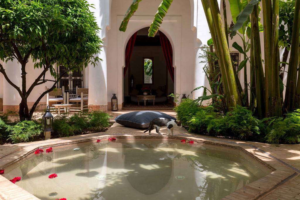 Le Berbere * Marrakesh