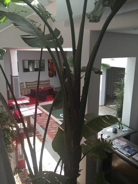 Le Patio Romantique Riad 3*
