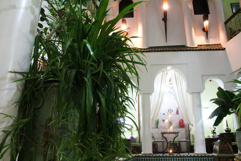 Alida Riad Marrakesh