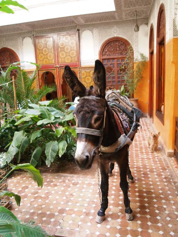 Jardin Secret Riad 2*