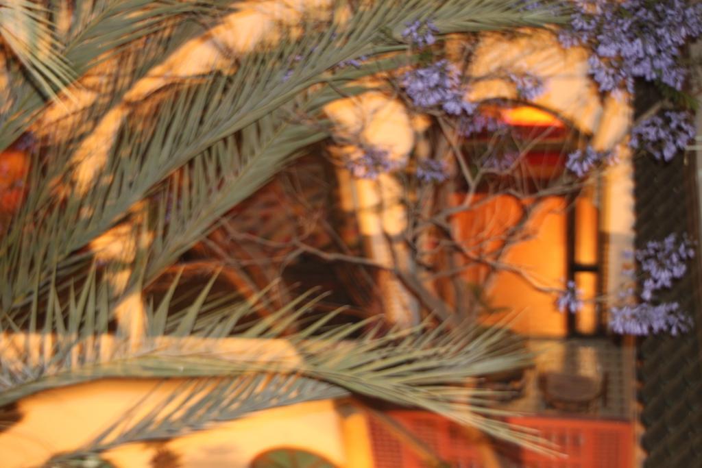 O Ly 3* Marrakesh