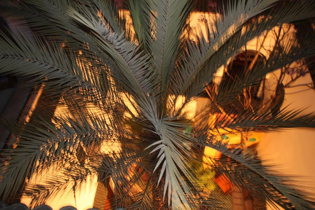 Riad O Ly 3*
