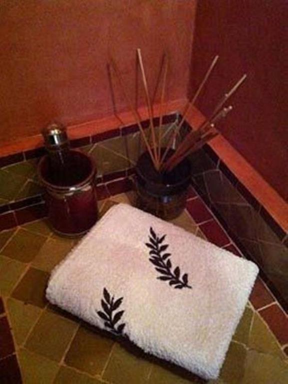 Riad Noor Charana 3*