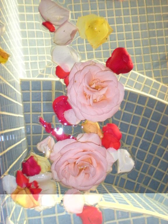 Bed and breakfast Dar Shana Marrakesh