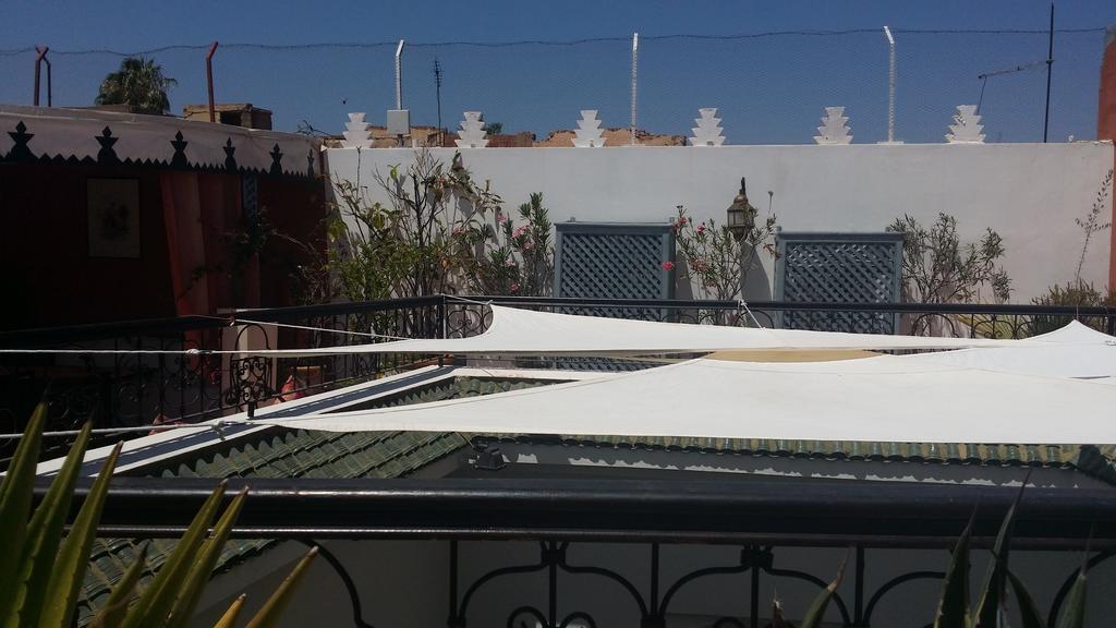 Alida Marrakesh