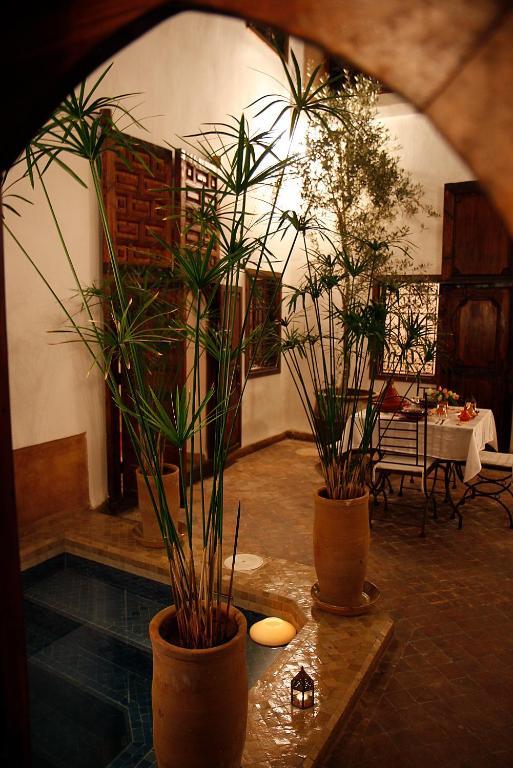 Elixir Riad Marraquexe