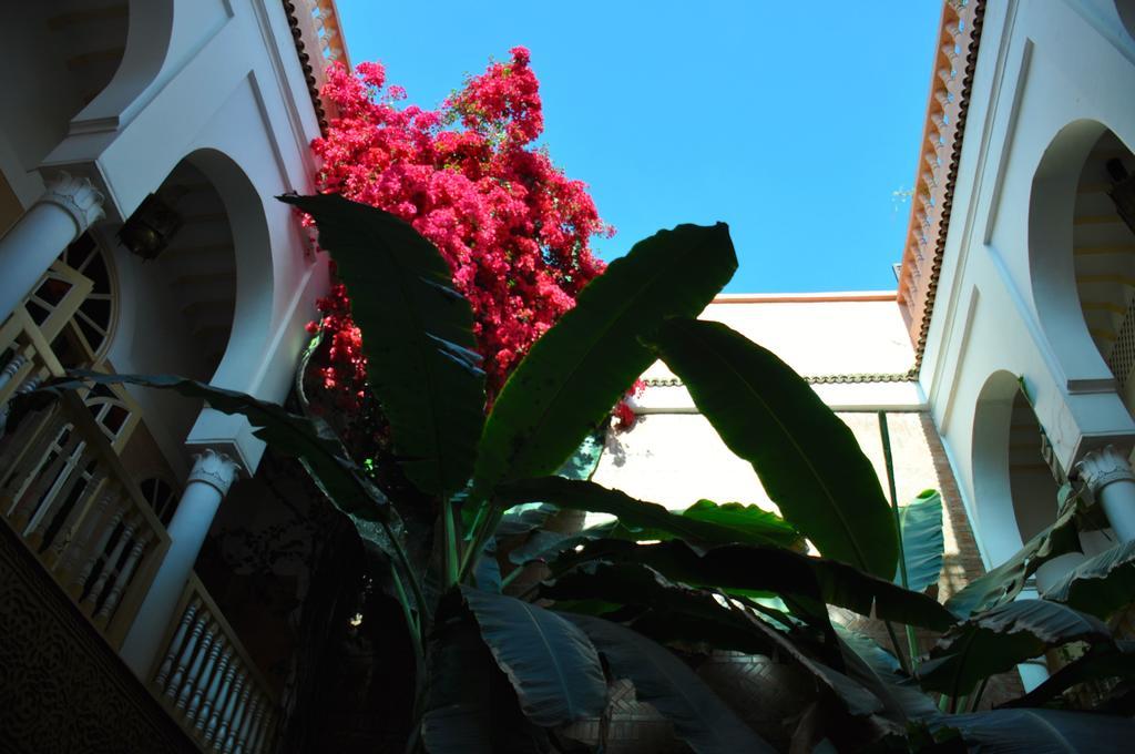 Habib Marrakesh