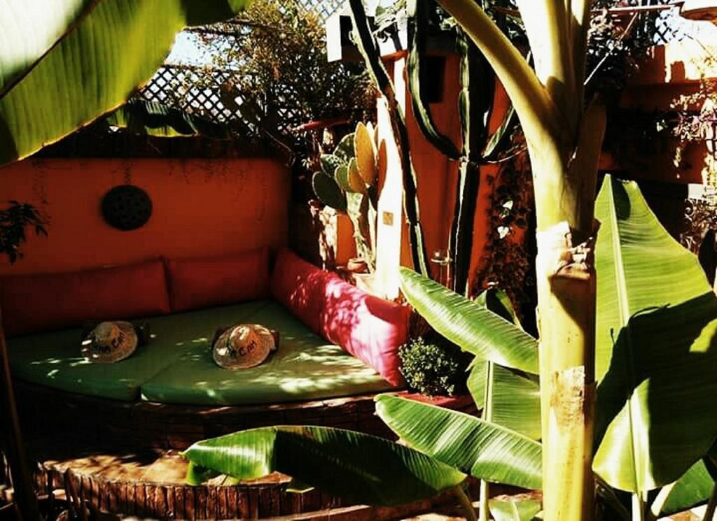 Laith (adults Only) Riad Marrakesh