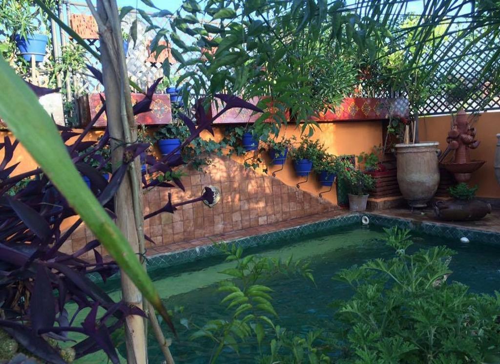 Riad Laith (adults Only) Marrakesh