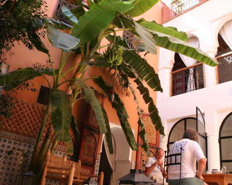 Ineslisa Riad