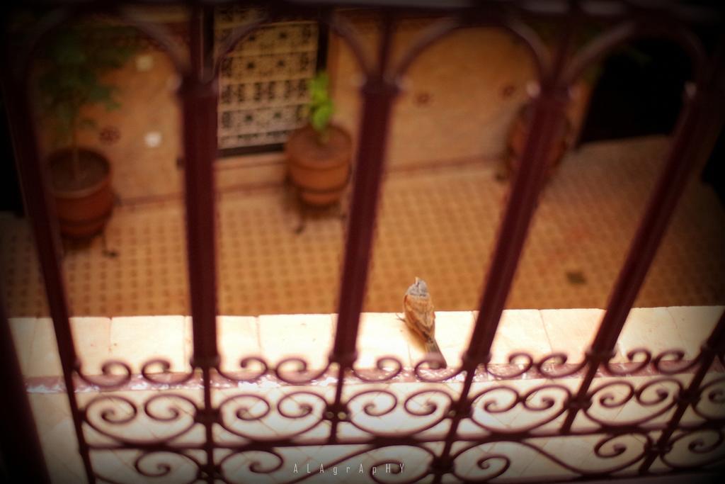 Riad Marraplace