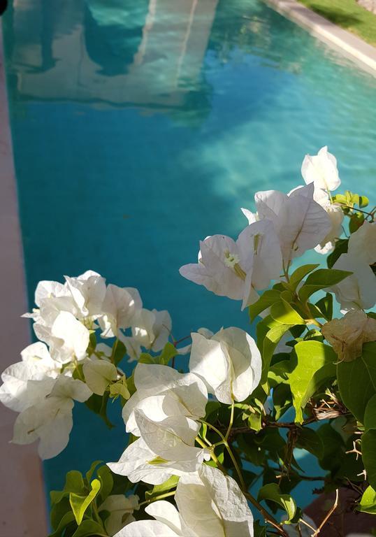 Les Jardins De Touhina Pousada Marraquexe
