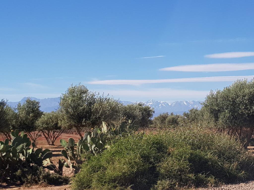 Les Jardins De Touhina Pousada *