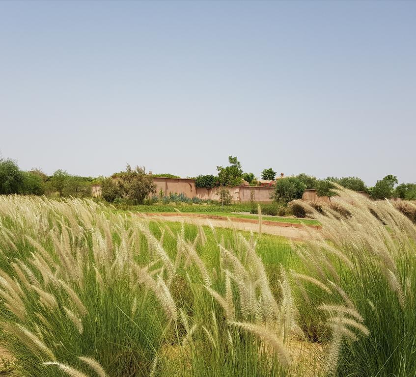 Les Jardins De Touhina Pousada *