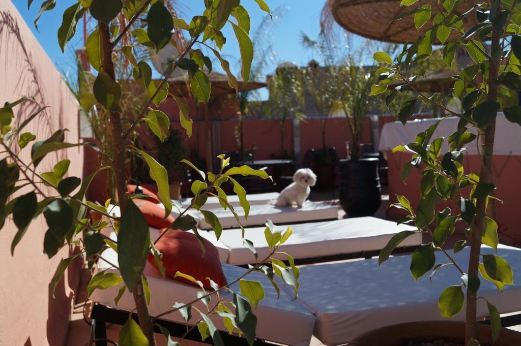 Riad Palais Azukar Marrakesh