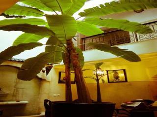 M'boja Chez Ali Baba Riad 3*