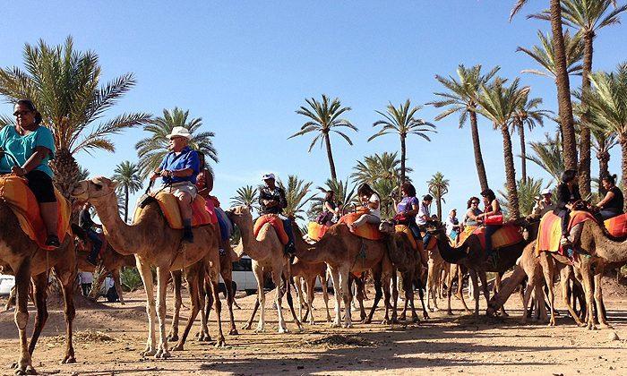 Familiale A Marrakech Marrakesh