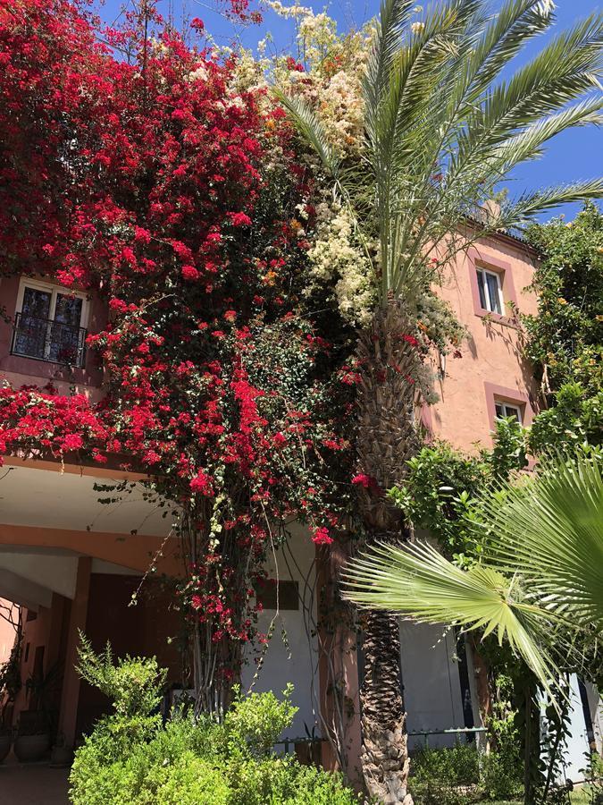 Palmier Fleuri Guest house
