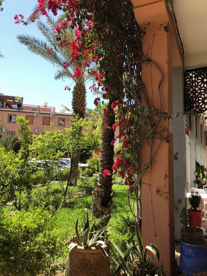 Palmier Fleuri Marrakesh
